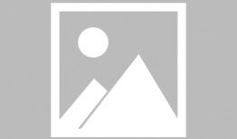 91直播间南风,91直播间带你领略独特风采